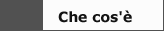 Che cos'è